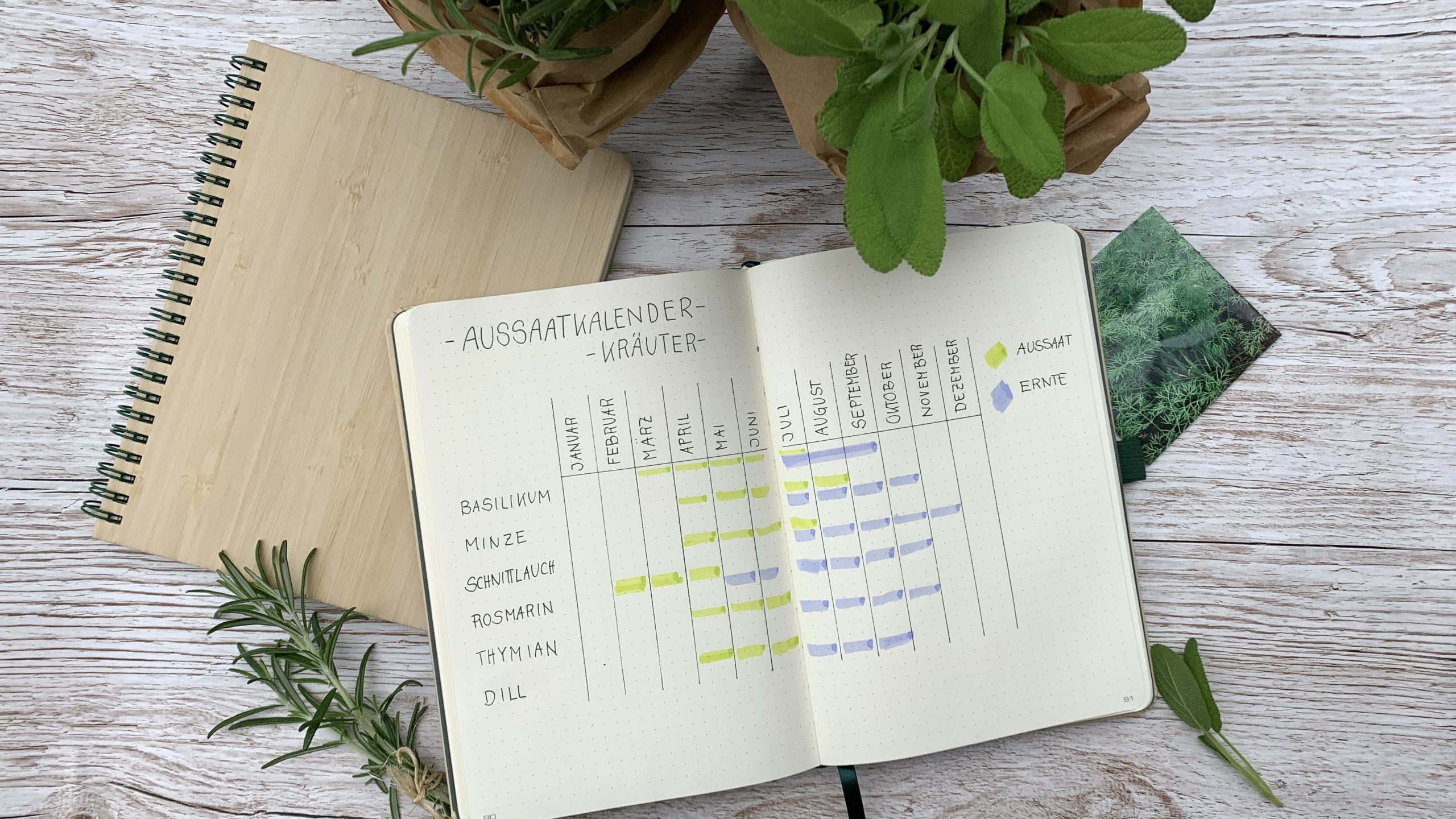 Aussaatkalender Bullet Journal Pflanztagebuch Bullet Journal Pflanzkalender