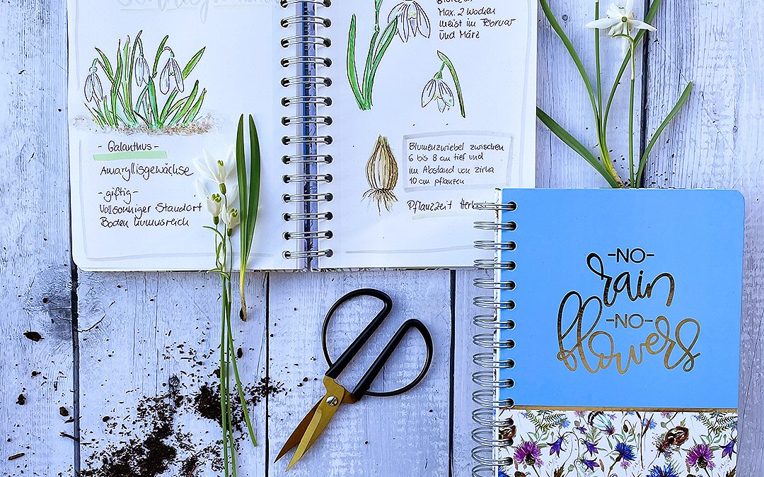 Pflanztagebuch Bulletjournal Sketchnotes Gartentagebuch