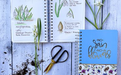 Sketchnotes  & Bullet Journal: Dein Wegweiser zum Garten-Erfolg