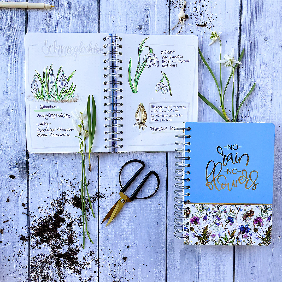 Pflanztagebuch Bulletjournal Sketchnotes Gartentagebuch Pflanztagebuch Bulletjournal Sketchnotes Gartentagebuch