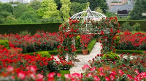 Duftrosen Garten