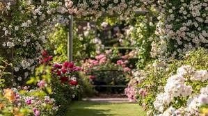 Duftrosen Garten<br />
Garten mit Strauchrosen